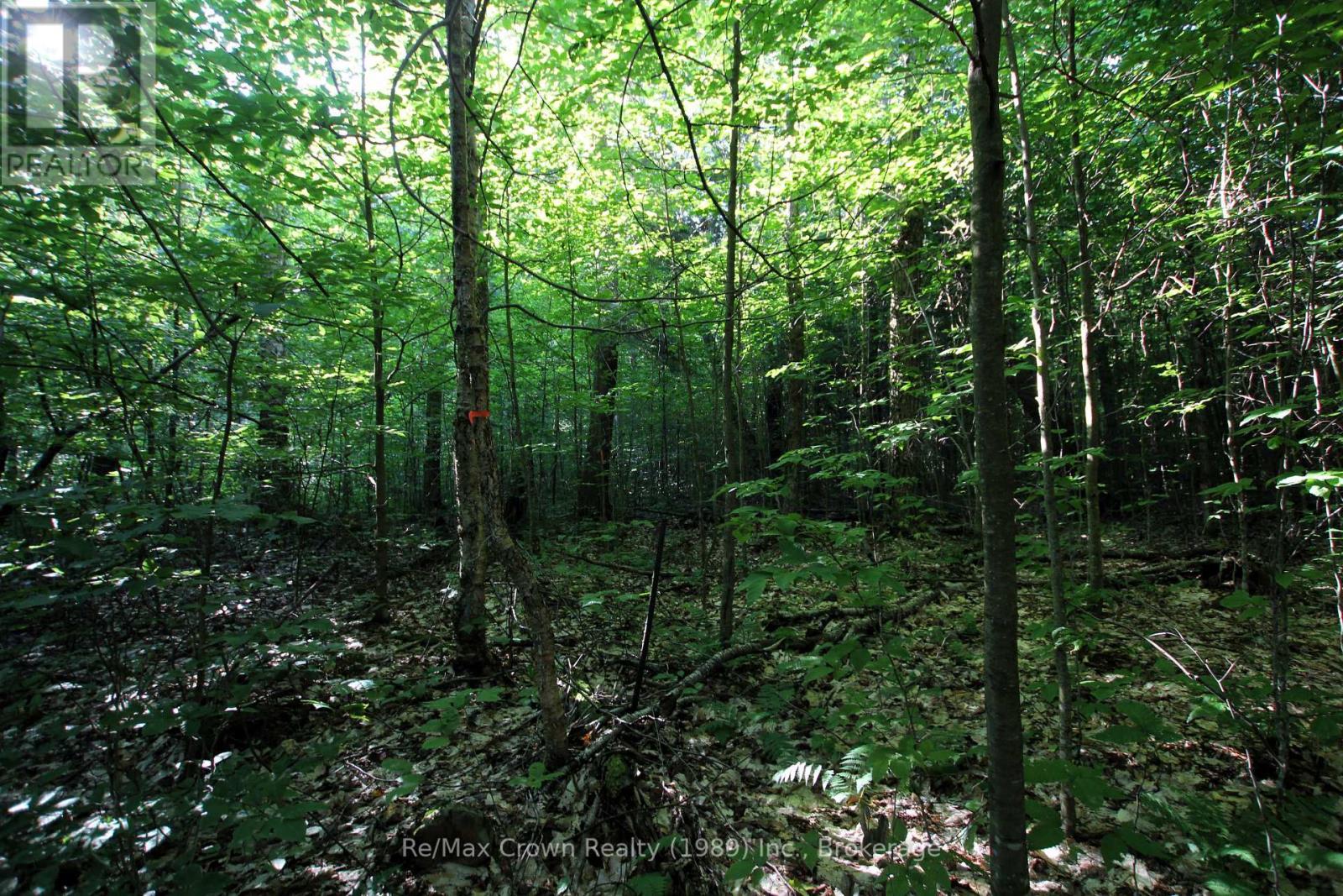 0 Hwy 522 Highway, Parry Sound Remote Area (Pringle), ON