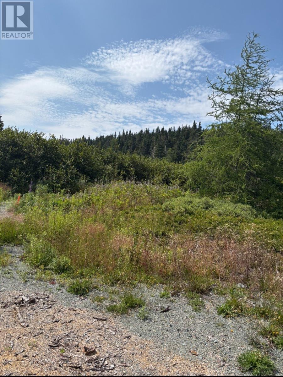 17 Batson'S Road, Port Rexton, NL