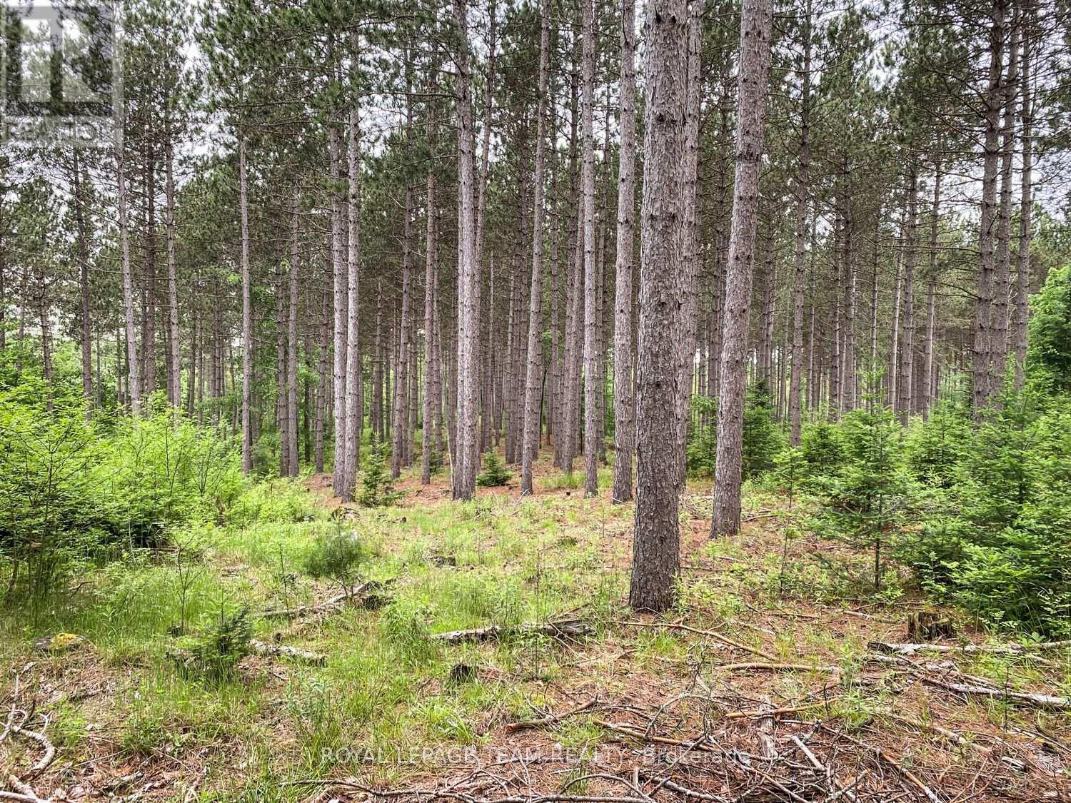 1477 Watsons Corners Road, Lanark Highlands, ON