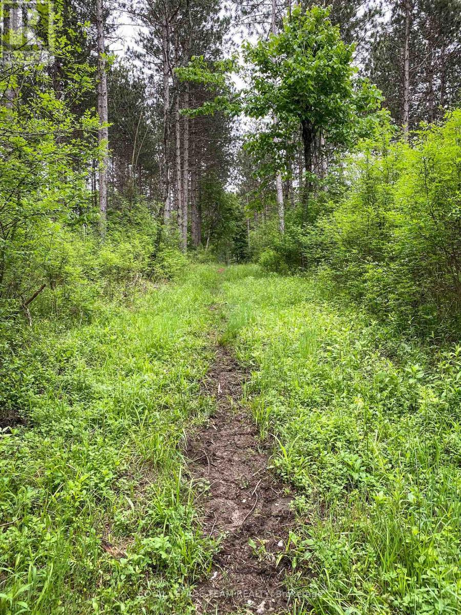 1477 Watsons Corners Road, Lanark Highlands, ON