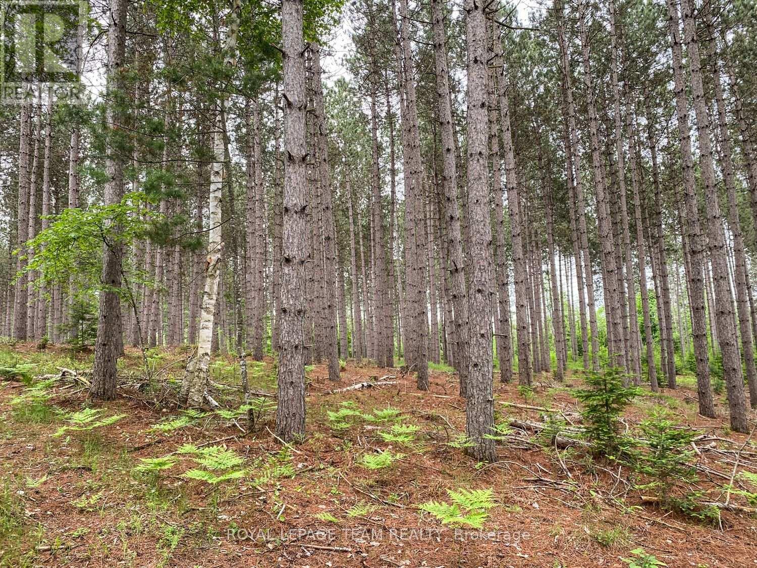 1477 Watsons Corners Road, Lanark Highlands, ON