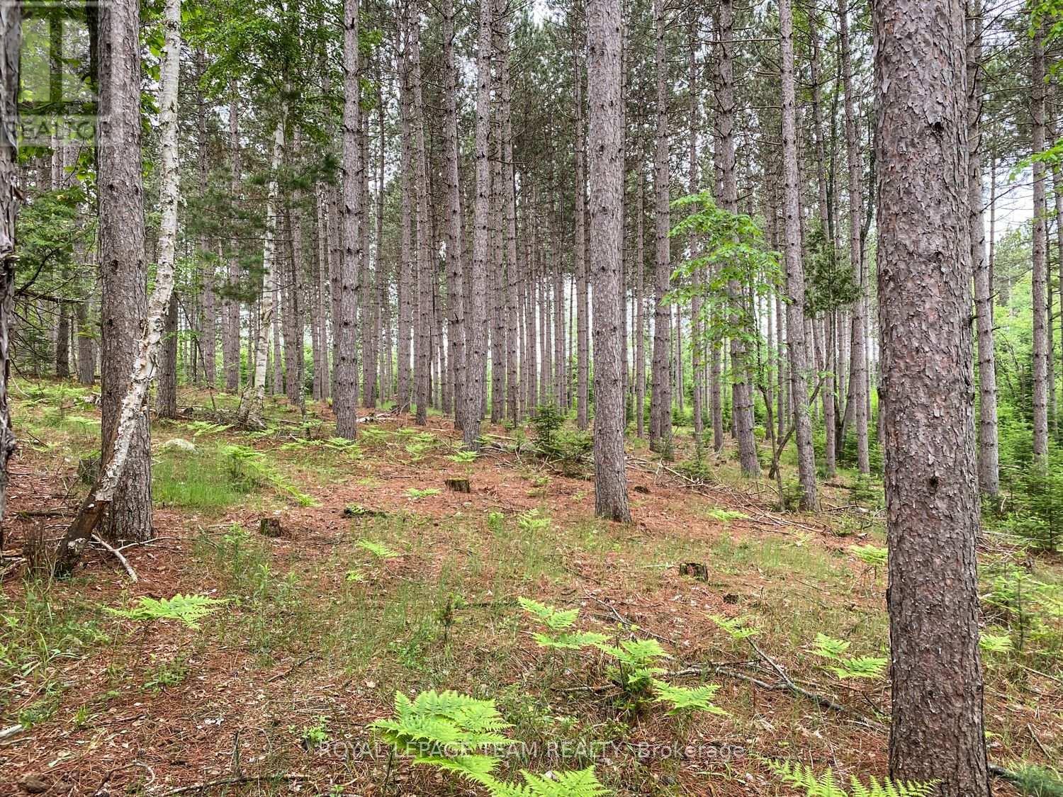 1477 Watsons Corners Road, Lanark Highlands, ON