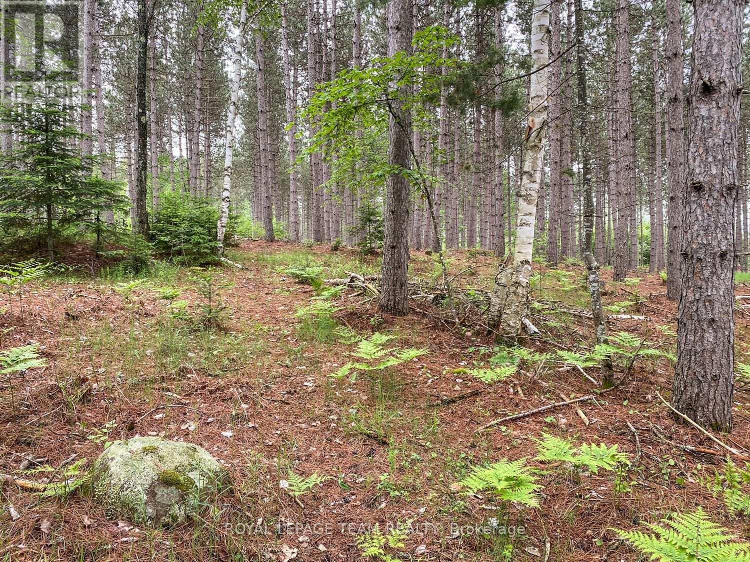 1477 Watsons Corners Road, Lanark Highlands, ON