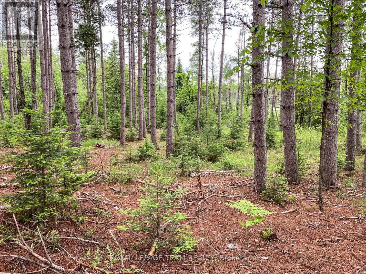 1477 Watsons Corners Road, Lanark Highlands, ON