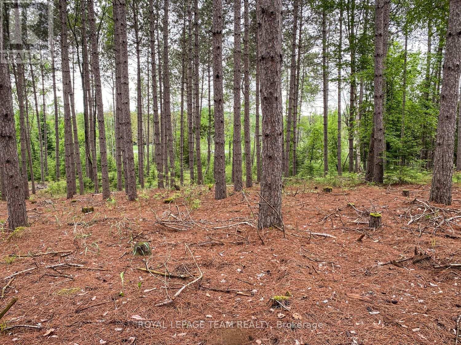 1477 Watsons Corners Road, Lanark Highlands, ON