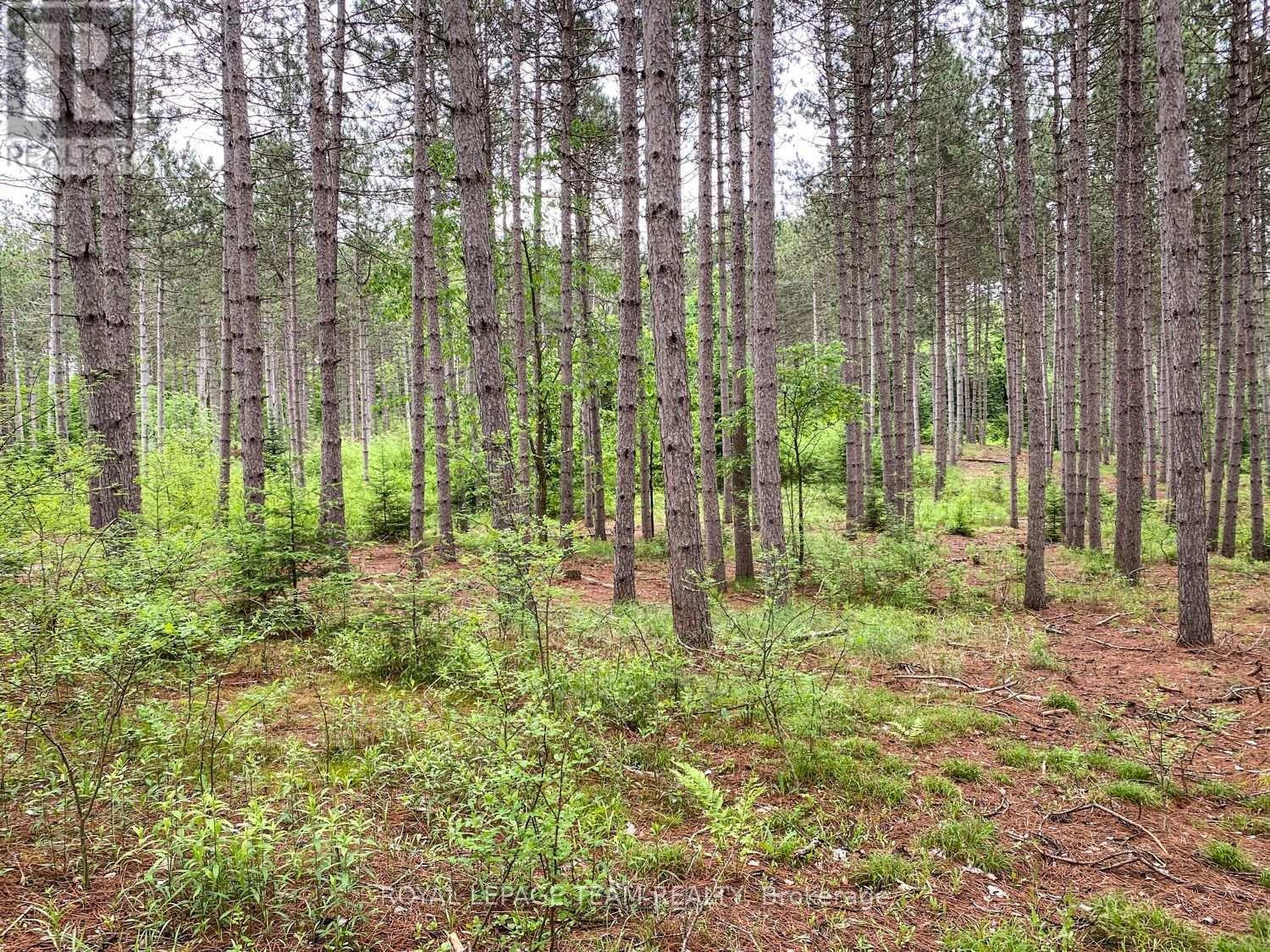 1477 Watsons Corners Road, Lanark Highlands, ON