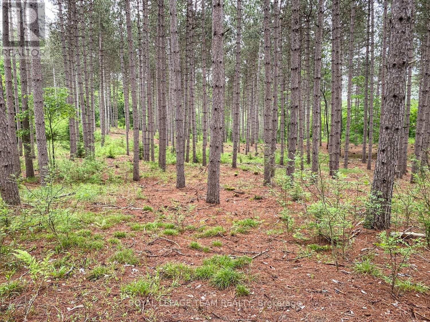 1477 Watsons Corners Road, Lanark Highlands, ON