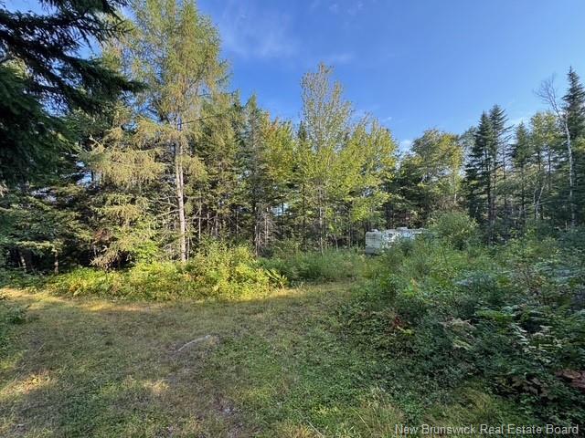 - Milkish Creek Rd, Summerville, NB