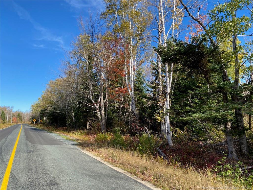 Lot Route 440, Rosaireville, NB