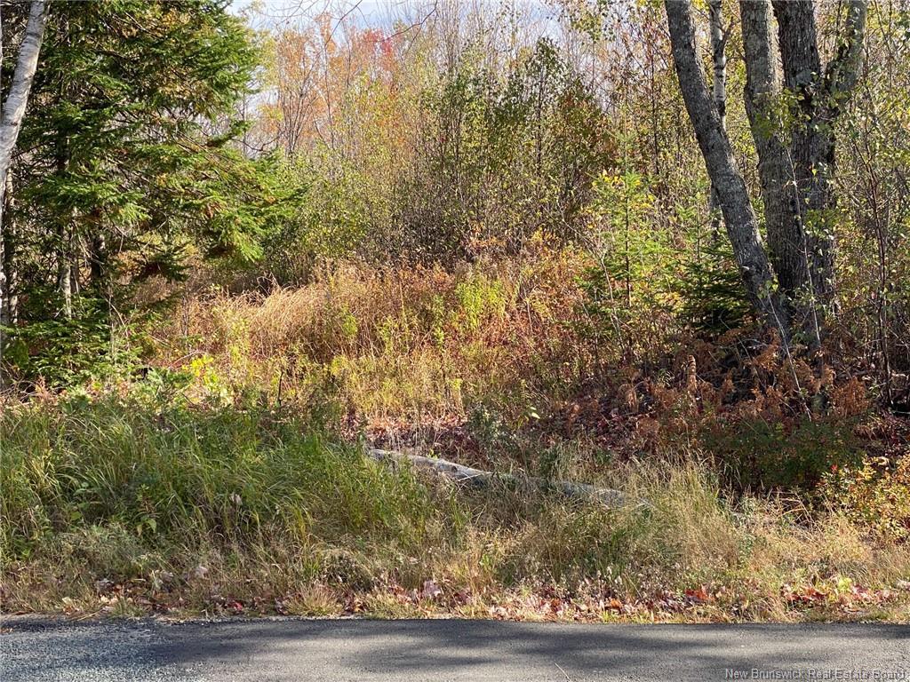 Lot Route 440, Rosaireville, NB