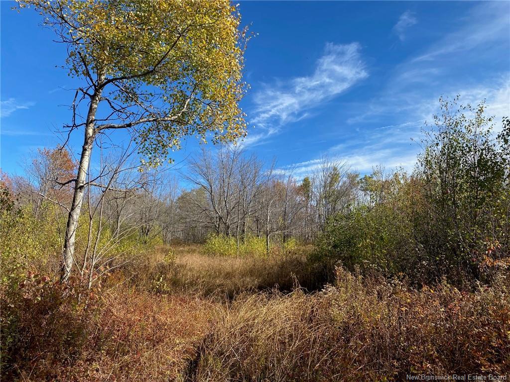 Lot Route 440, Rosaireville, NB