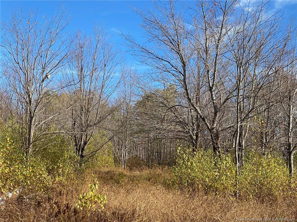 Lot Route 440, Rosaireville, NB