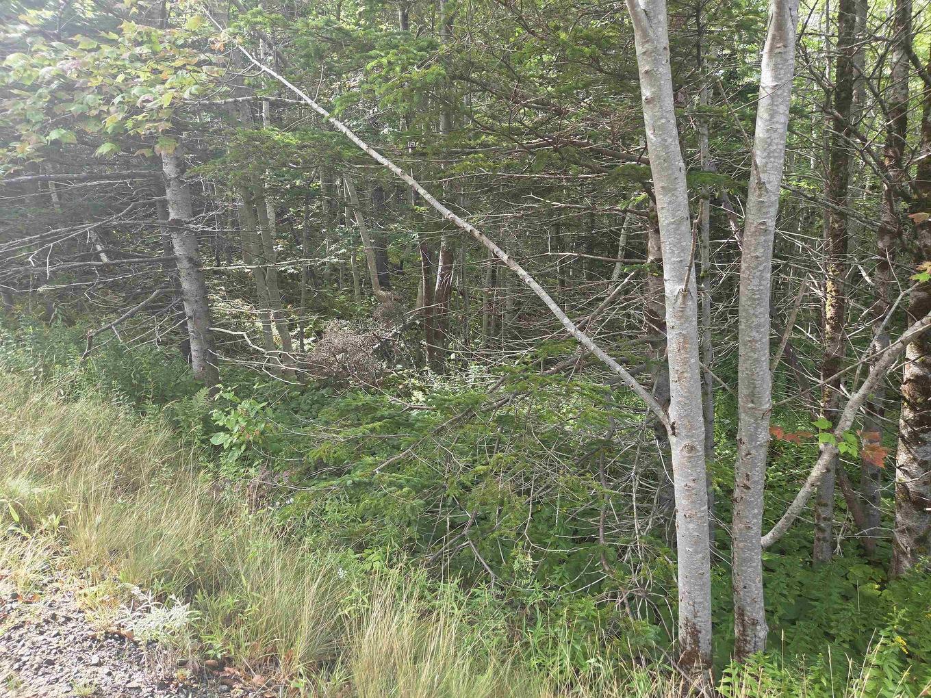 Culloden Road, Culloden, NS