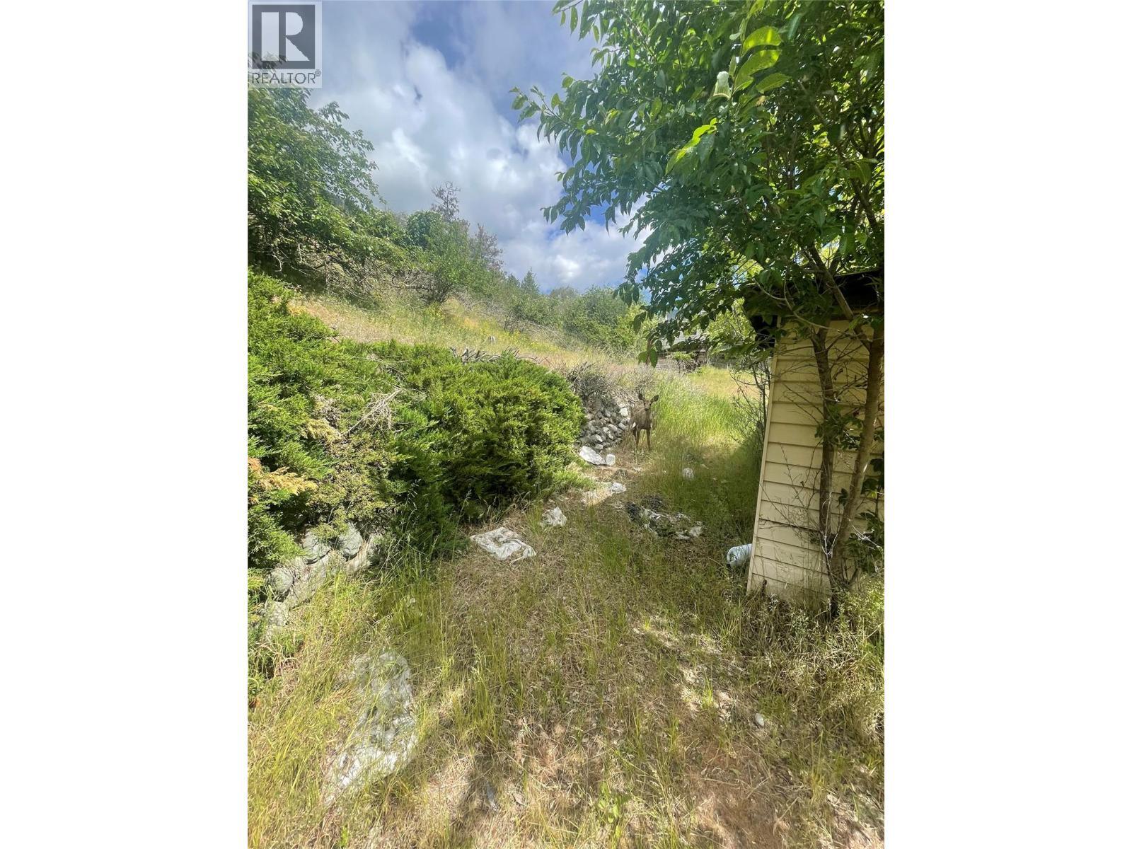 685 Russell Lane, Lillooet, BC - Outdoor With View