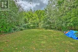 The back of the lot on the property -