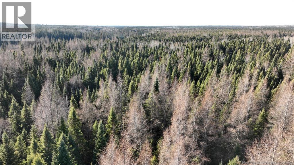 3.34 Hec Hwy 430, Chaplin Island Road, NB