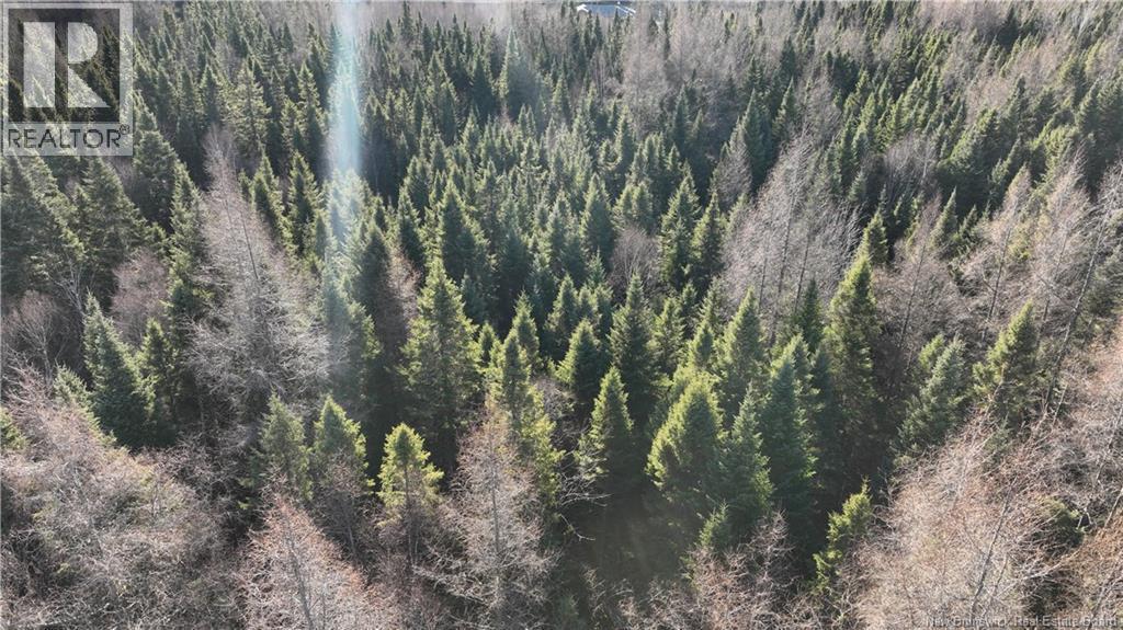 3.34 Hec Hwy 430, Chaplin Island Road, NB