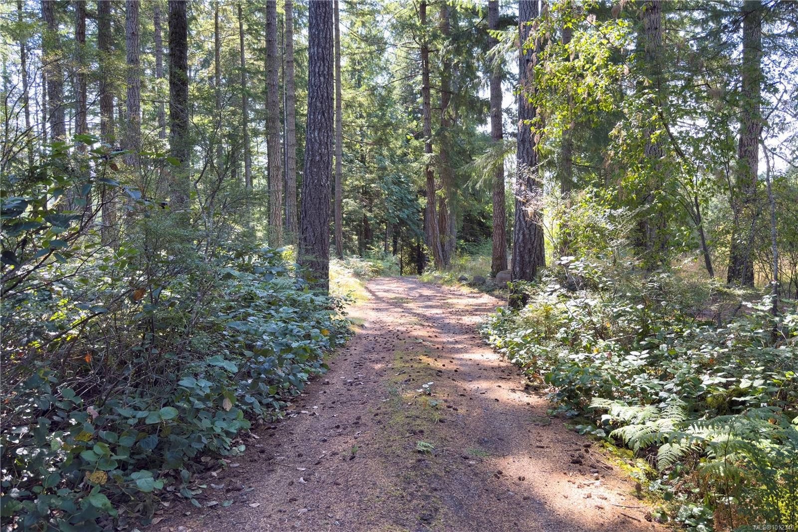 766 B Gowlland Harbour Rd, Quadra Island, BC