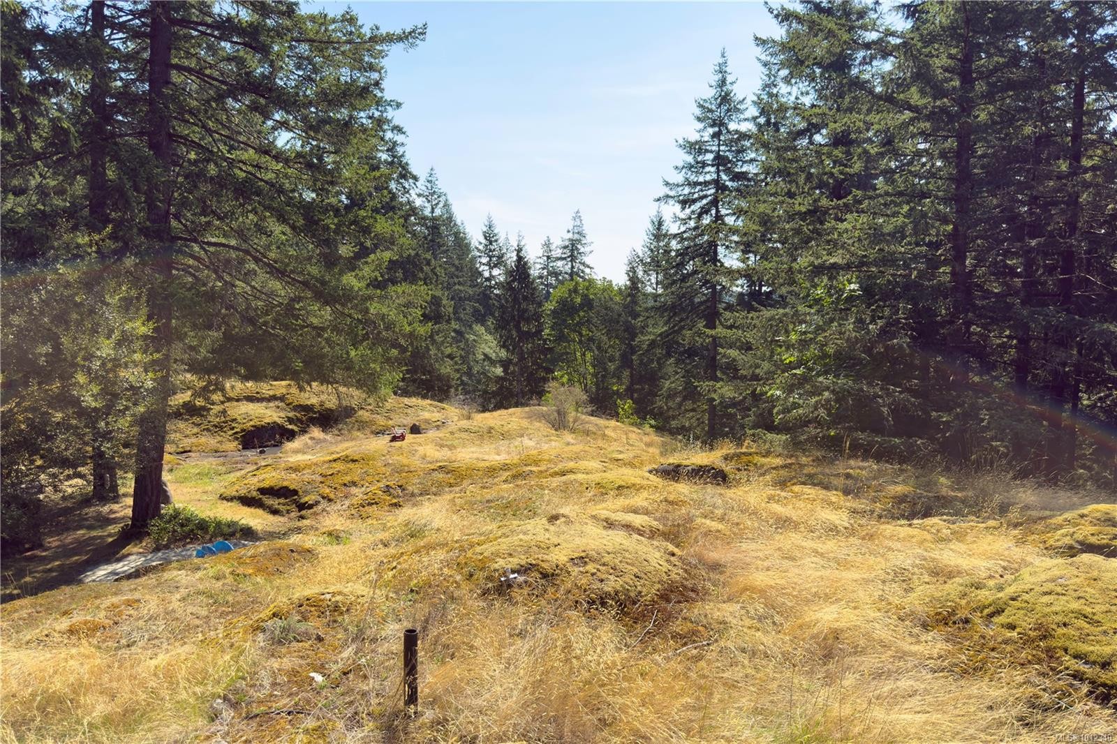 766 B Gowlland Harbour Rd, Quadra Island, BC