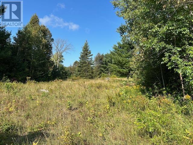 13 Riverview Dr, Iron Bridge, ON