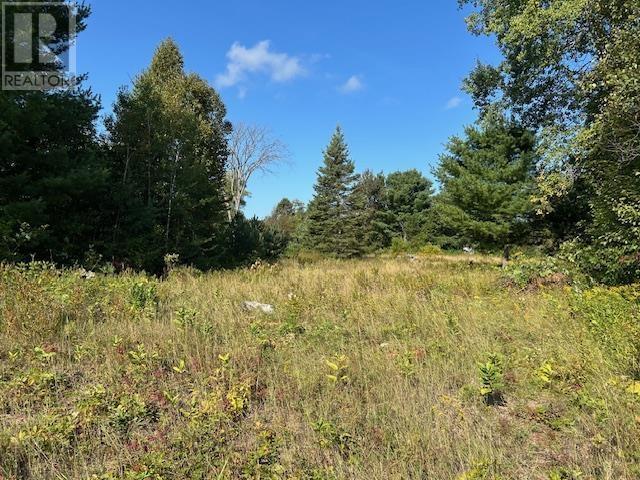 13 Riverview Dr, Iron Bridge, ON