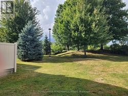 View from the yard of the back area. -