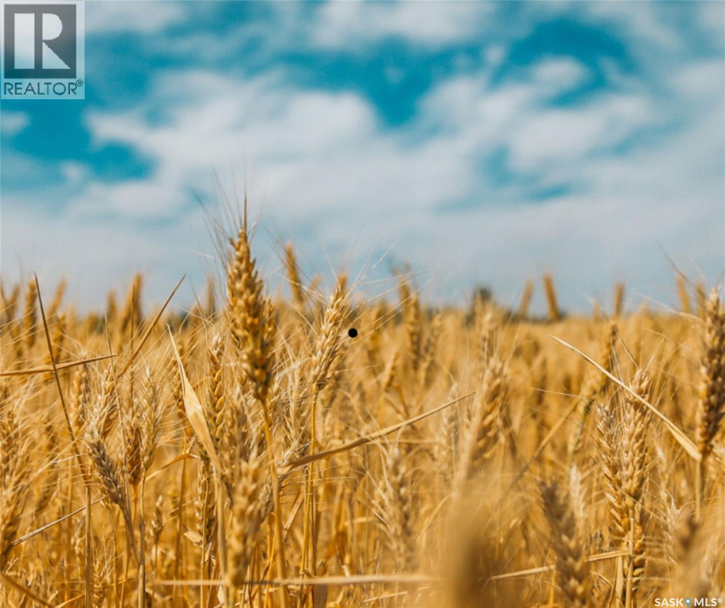 Konotopetz Quarter Farmland, Perdue Rm No. 346, SK