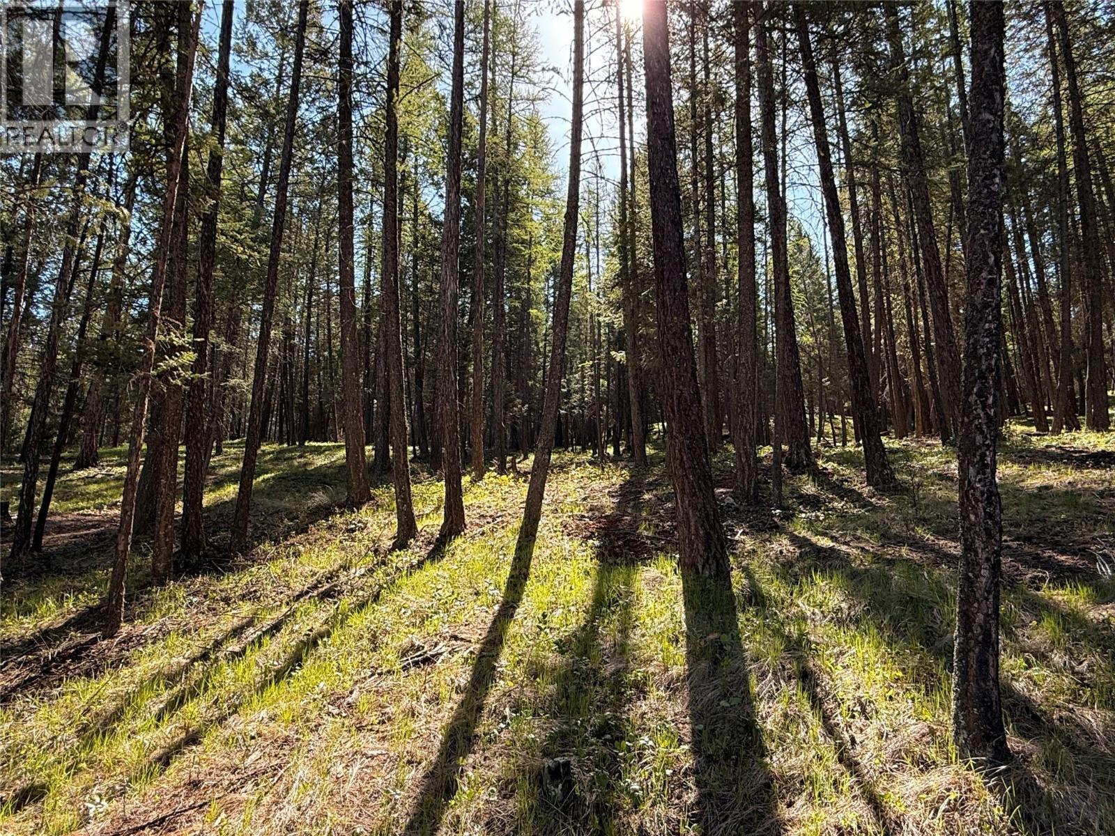 785 Silver Creek Road, Cranbrook, BC