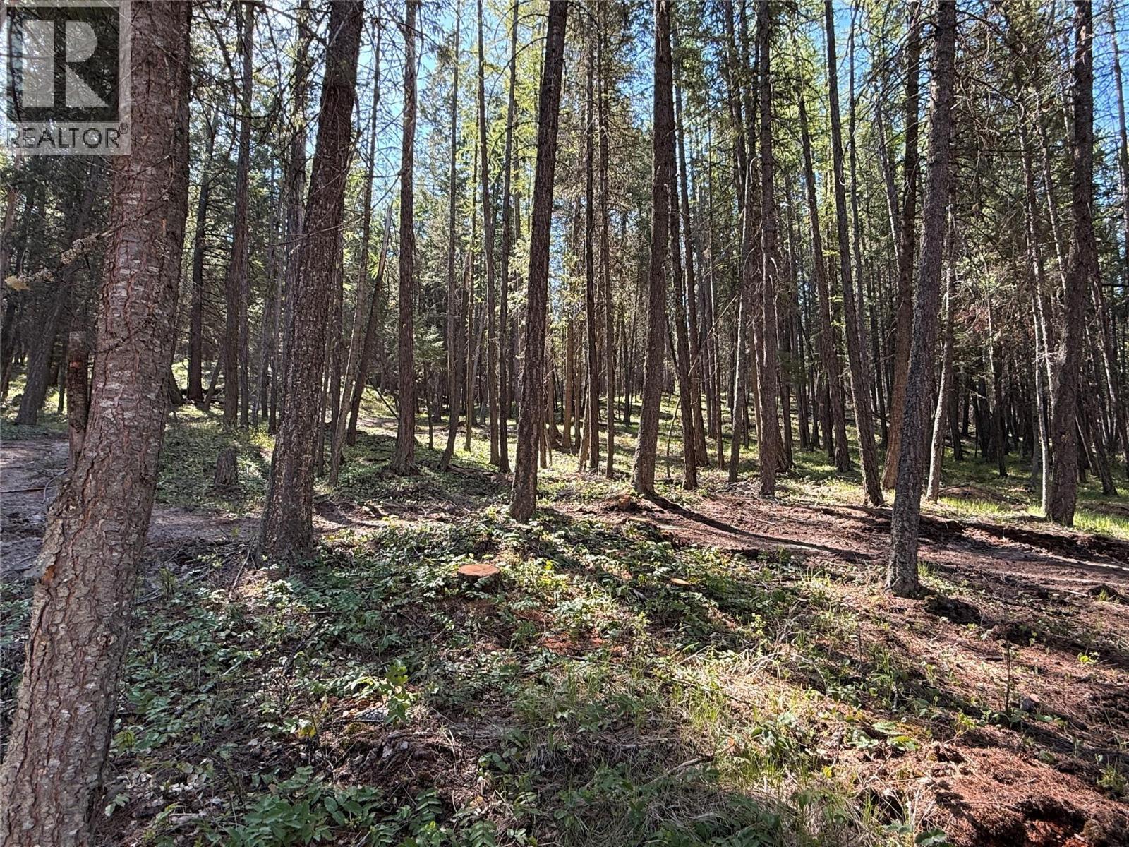 785 Silver Creek Road, Cranbrook, BC