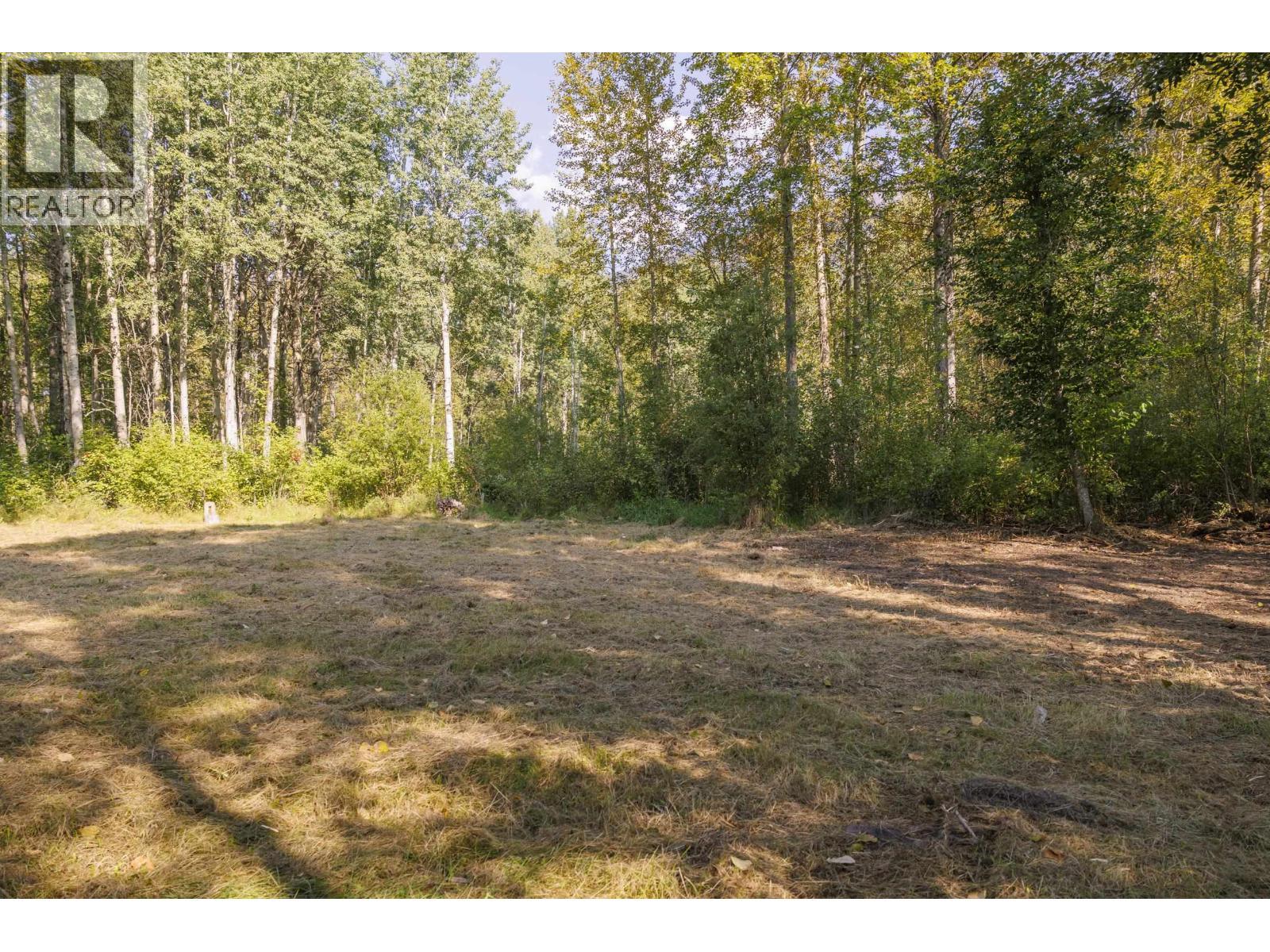 1890 Mountain View Road, Mcbride, BC - Outdoor With View