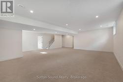 Lower level family room - 