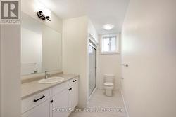 Lower Level 3 piece bath with walkin Shower - 