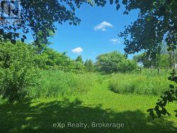 Entrance To Orchard Walking Trails -