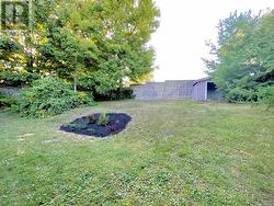 Rear Yard & Garden Shed -