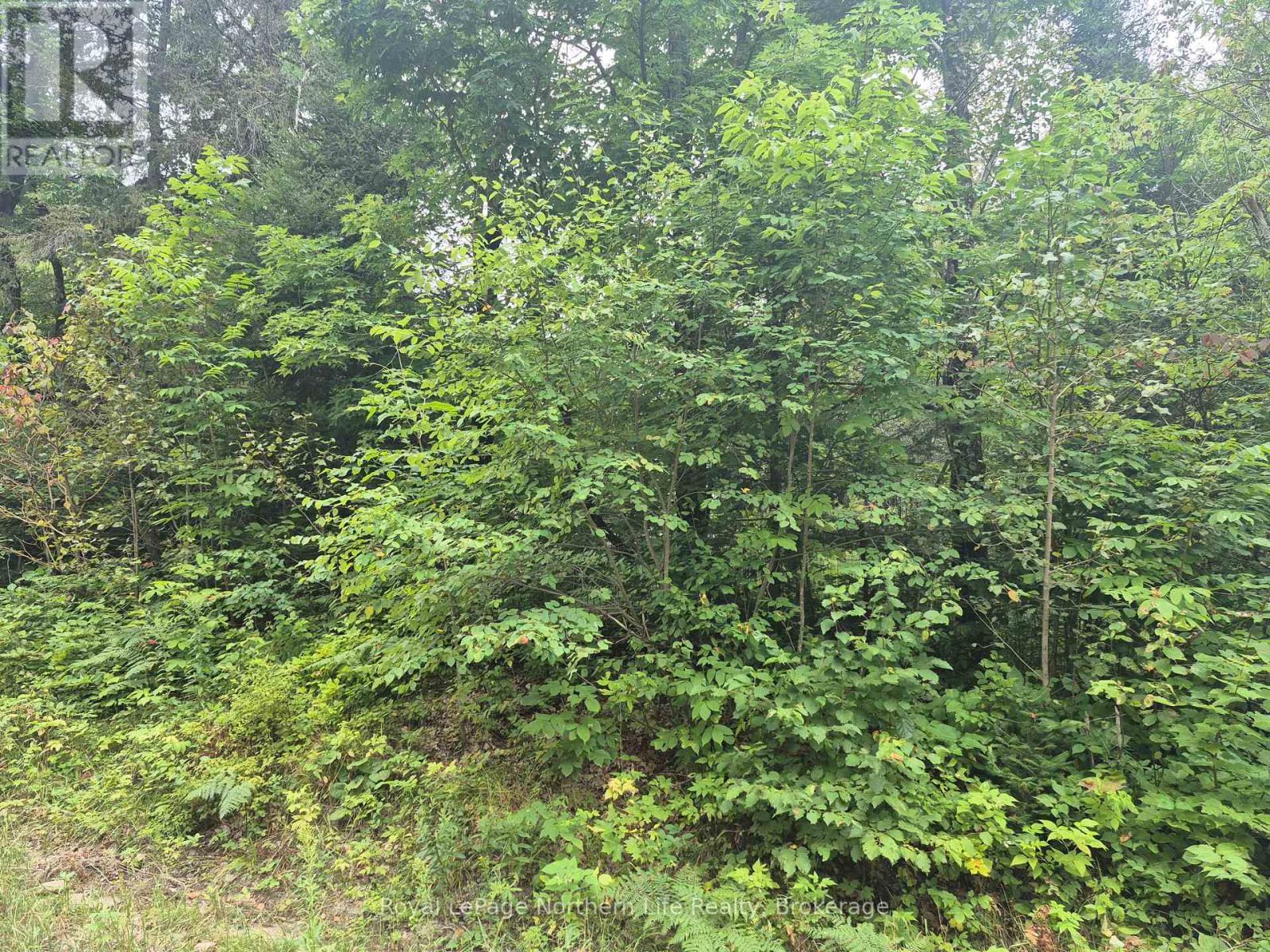 7 Burritts Road, Papineau-Cameron (Papineau Cameron), ON