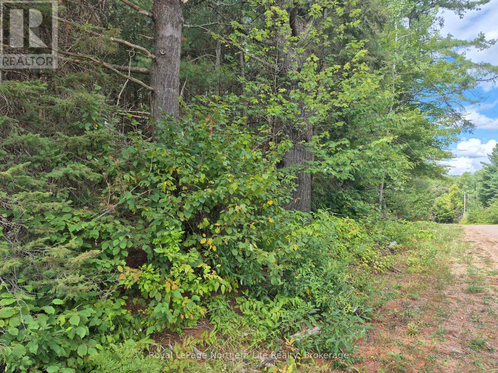 7 Burritts Road, Papineau-Cameron (Papineau Cameron), ON