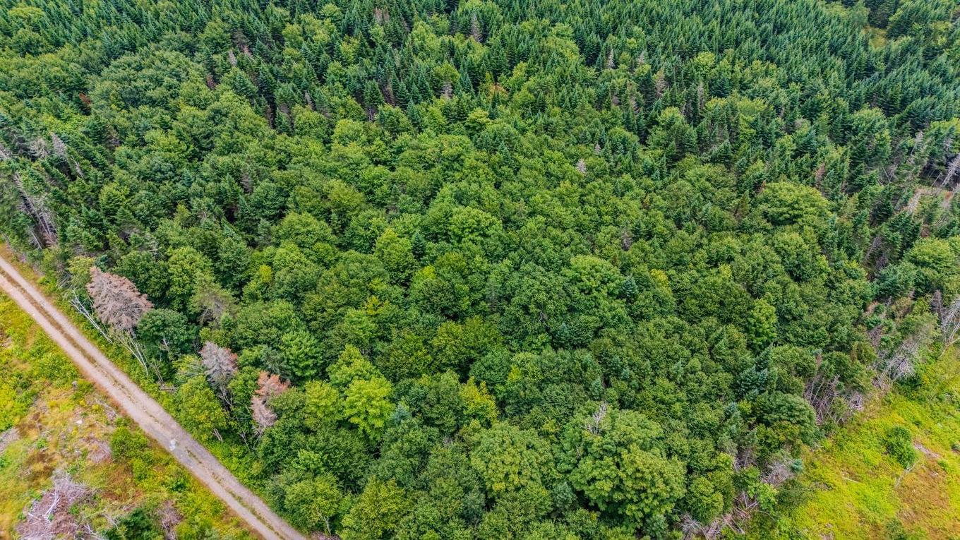 676 Westchester Rd, Sutherland Lake, NS