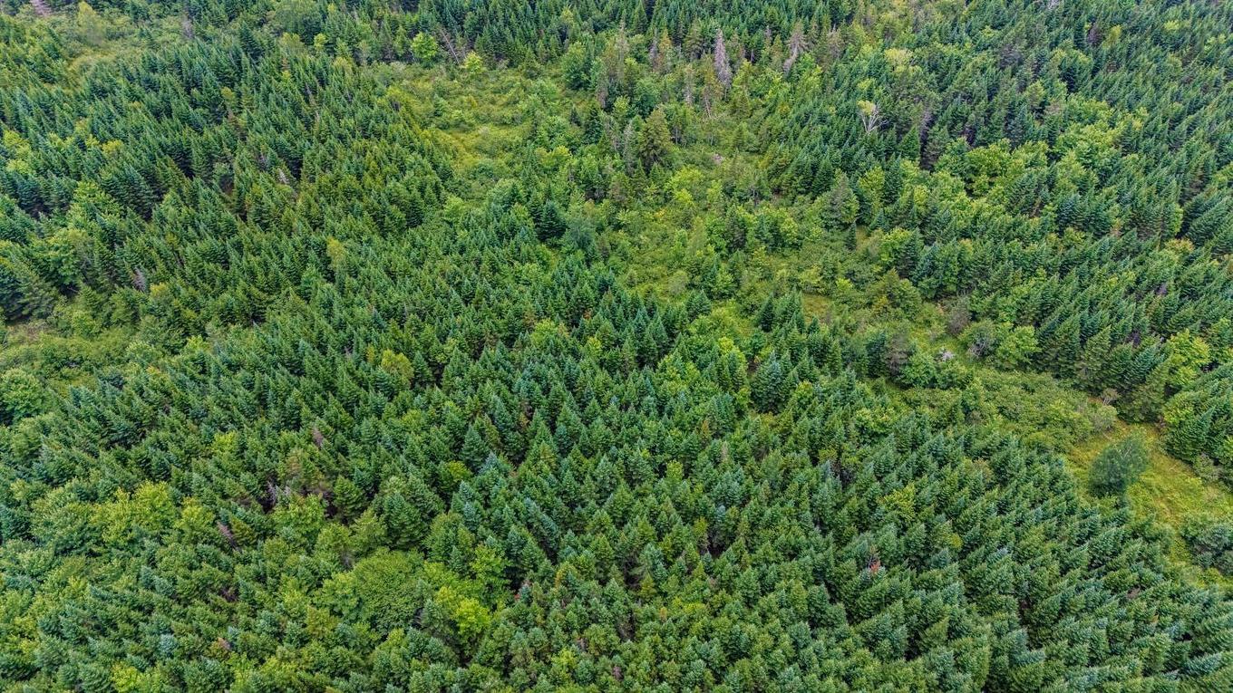 676 Westchester Rd, Sutherland Lake, NS