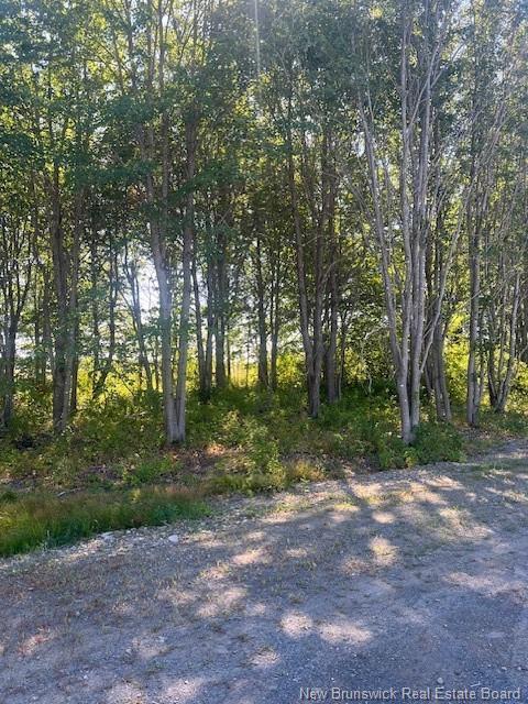 Lot 12-06 Lecojo Lane, Cocagne, NB