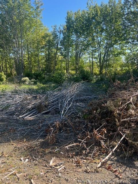 Lot 12-06 Lecojo Lane, Cocagne, NB