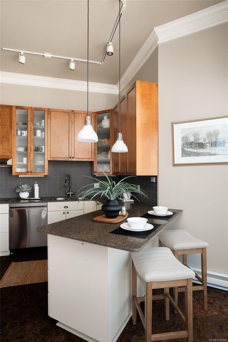 518-10 Paul Kane Pl, Victoria, BC - Indoor