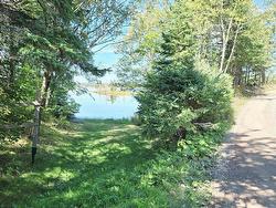 0 Brickyard Road Albert Bridge, NS B1K 2T7