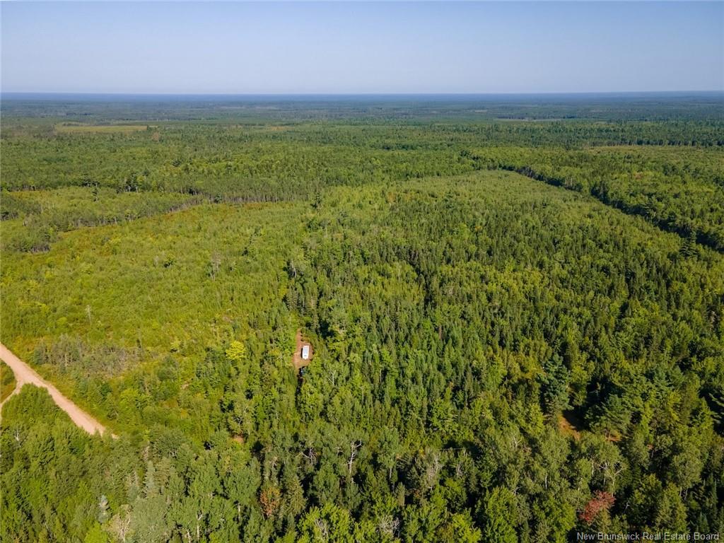 1620 Saint-Sosime Rd, Adamsville, NB