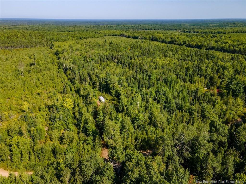 1620 Saint-Sosime Rd, Adamsville, NB