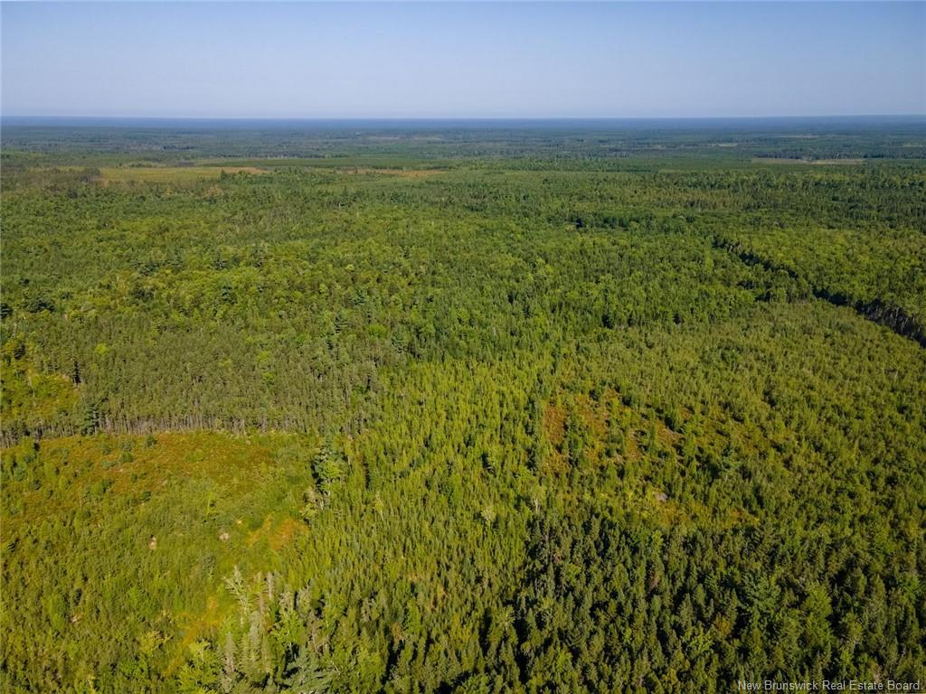 1620 Saint-Sosime Rd, Adamsville, NB