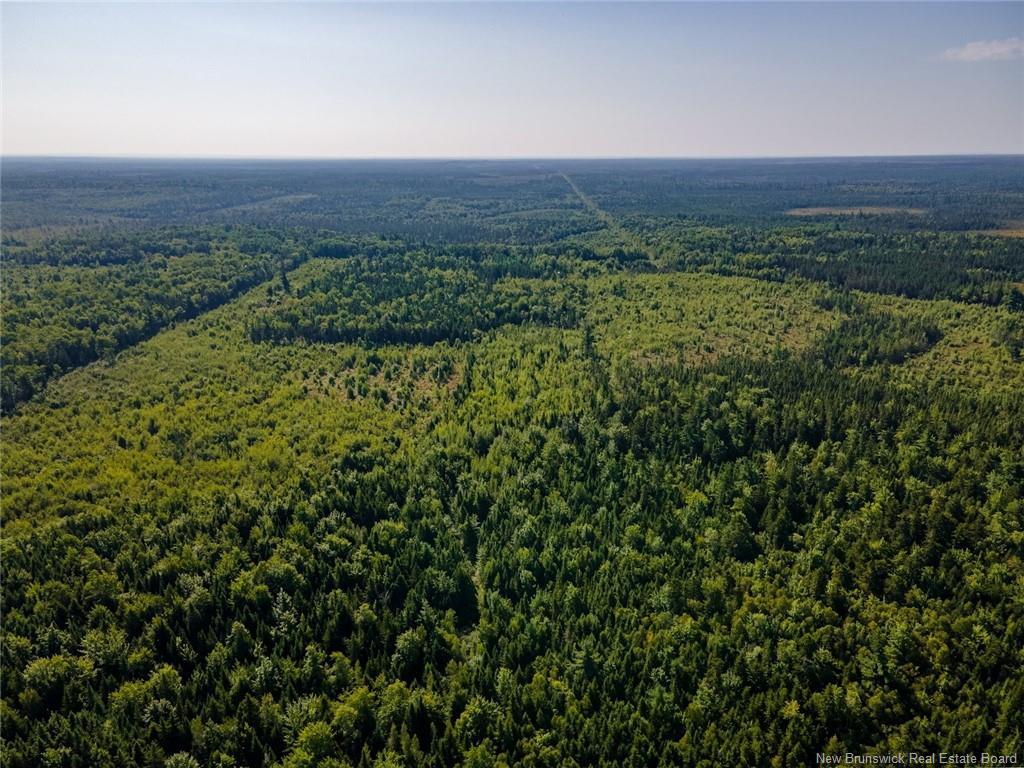 1620 Saint-Sosime Rd, Adamsville, NB