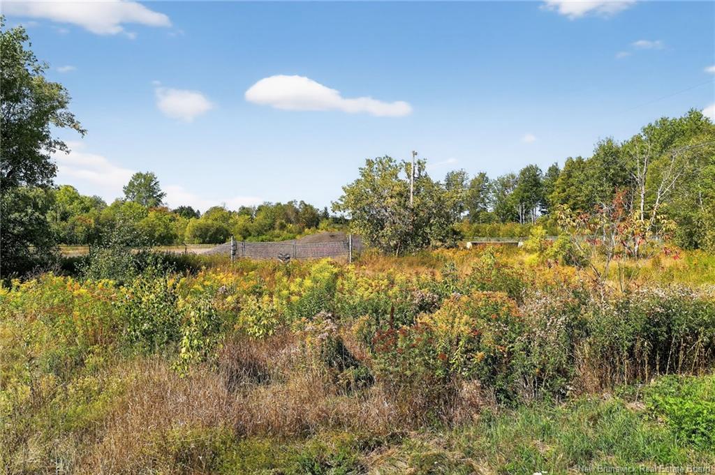 274 Cedar St, Moncton, NB