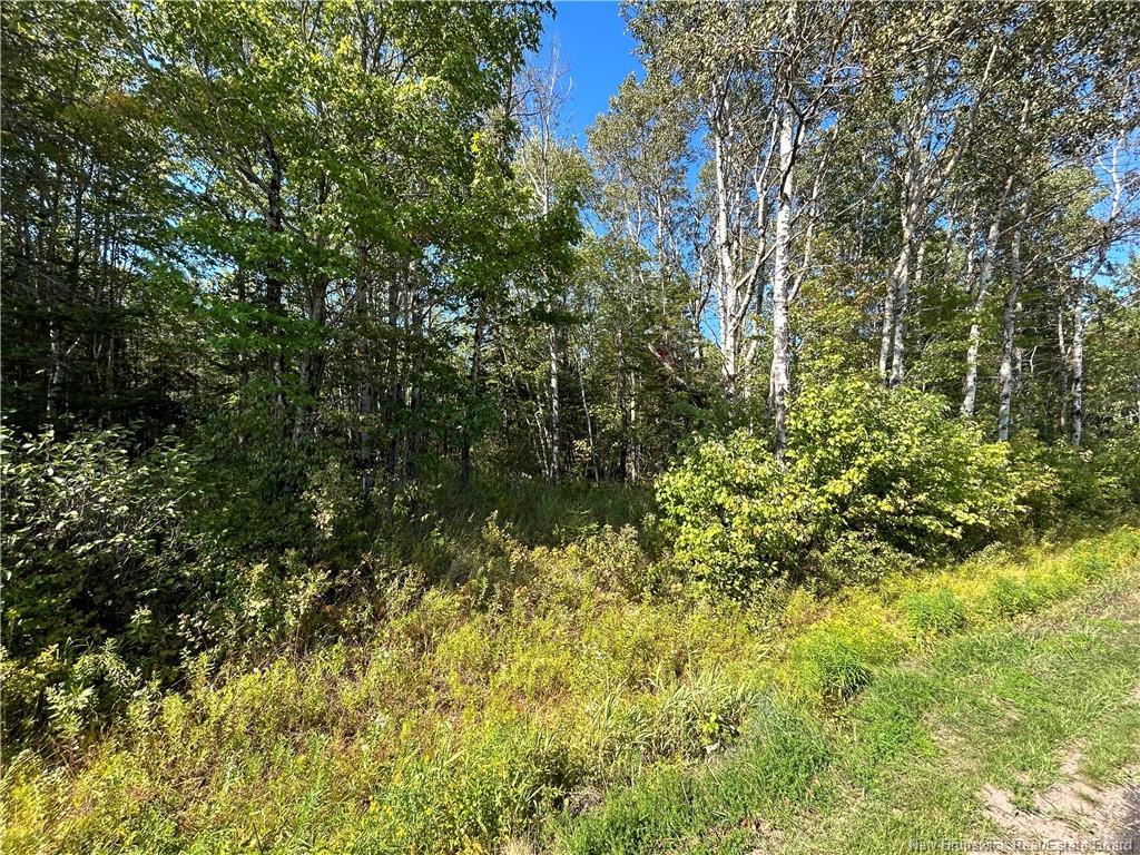 Lot 25-2 Upper Midland Rd, Norton, NB