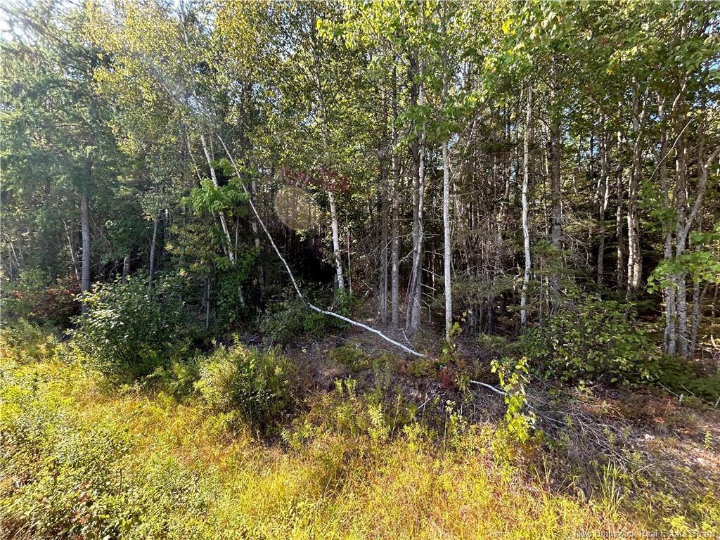 Lot 25-2 Upper Midland Rd, Norton, NB