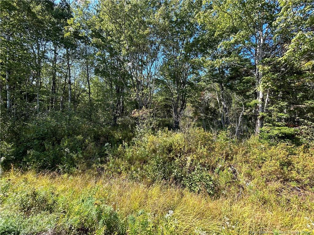 Lot 25-3 Upper Midland Rd, Norton, NB
